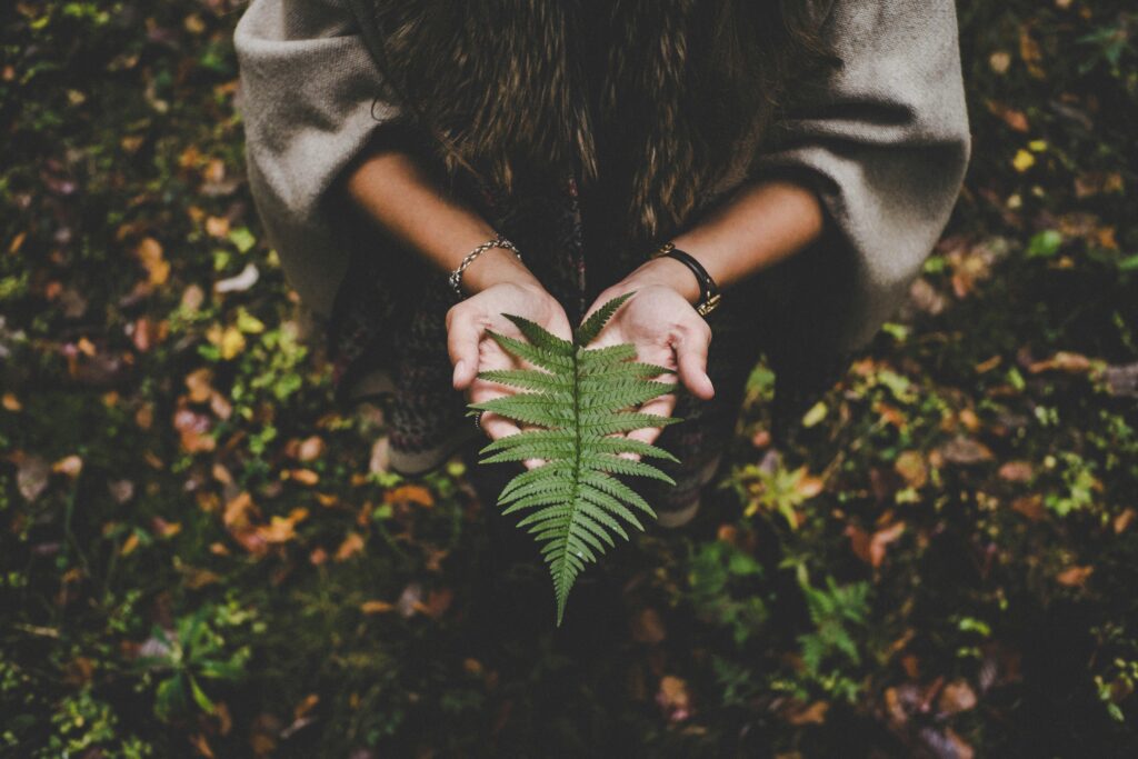 A girl holding a tree leaf in forest - symbolism for climate change action.