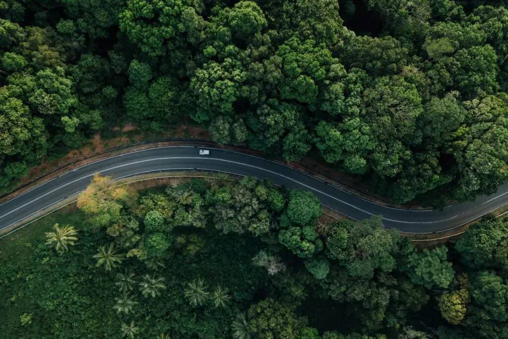Aerial view of a winding road cutting through a dense green forest, symbolizing sustainable infrastructure and environmental harmony.